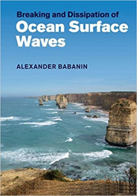 Image of Breaking and Dissipation of Ocean Surface Waves