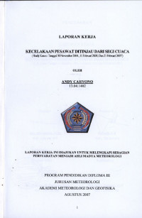 Image of Kecelakaan Pesawat Ditinjau Dari Segi Cuaca
