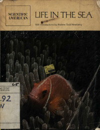 Image of Life in The Sea