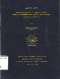 Image of Pengaruh Suhu dan Kelembaban Udara terhadap Pembentukan Kabut dan Mist di Ambon