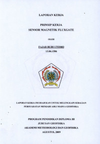 Image of Prinsip Kerja Sensor Magnetik Fluxgate