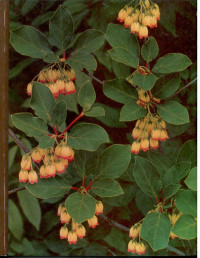 Image of The TIME-LIFE ENCYCLOPEDIA OF GARDENING Flowering Shrubs