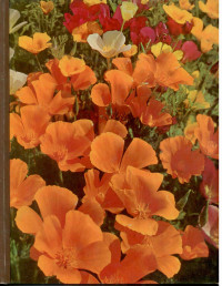 Image of The TIME-LIFE ENCYCLOPEDIA OF GARDENING Annuals