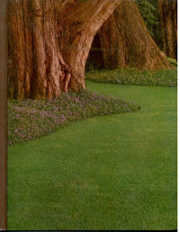 Image of The TIME-LIFE ENCYCLOPEDIA OF GARDENING Lawns and Ground Covers